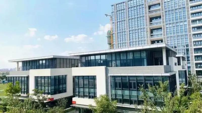 LOL竞猜官网数据延迟对实时竞猜体验有哪些影响